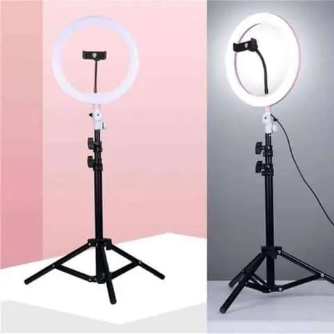 Vlogger Series LED Ring Light (with Tripod Stand)